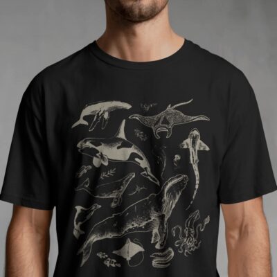 Ocean Wonders